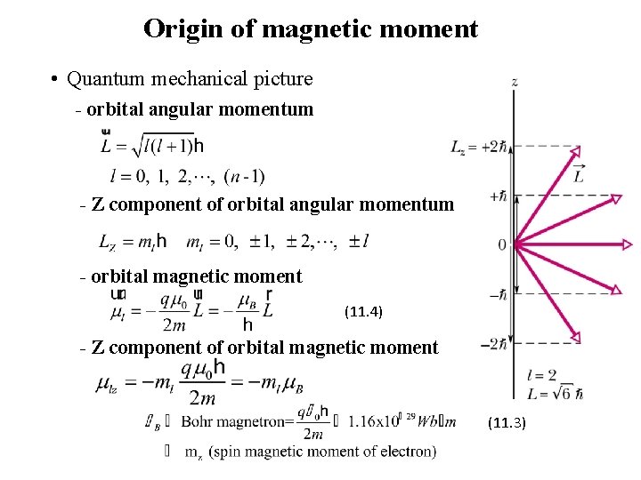 Origin of magnetic moment • Quantum mechanical picture - orbital angular momentum - Z