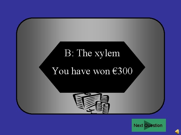 B: The xylem You have won € 300 Next Question 