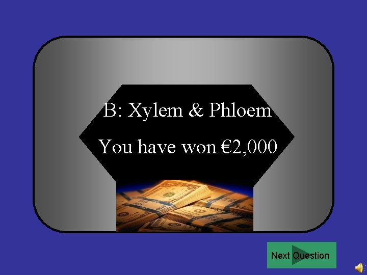 B: Xylem & Phloem You have won € 2, 000 Next Question 