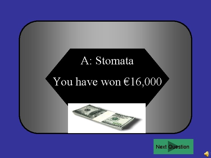 A: Stomata You have won € 16, 000 Next Question 