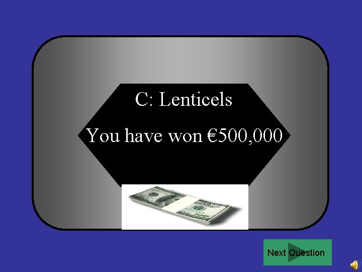 C: Lenticels You have won € 500, 000 Next Question 