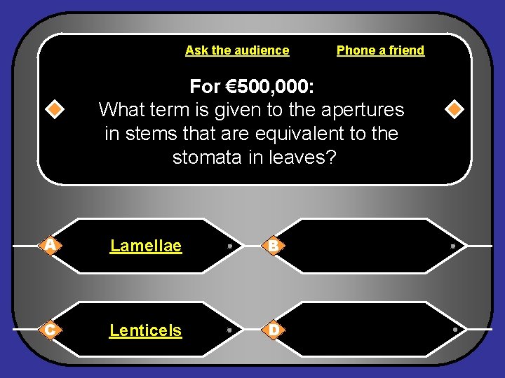 Ask the audience Phone a friend For € 500, 000: What term is given
