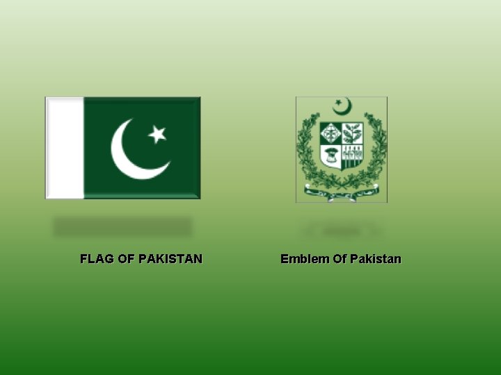 FLAG OF PAKISTAN Emblem Of Pakistan 