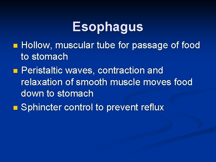 Esophagus Hollow, muscular tube for passage of food to stomach n Peristaltic waves, contraction