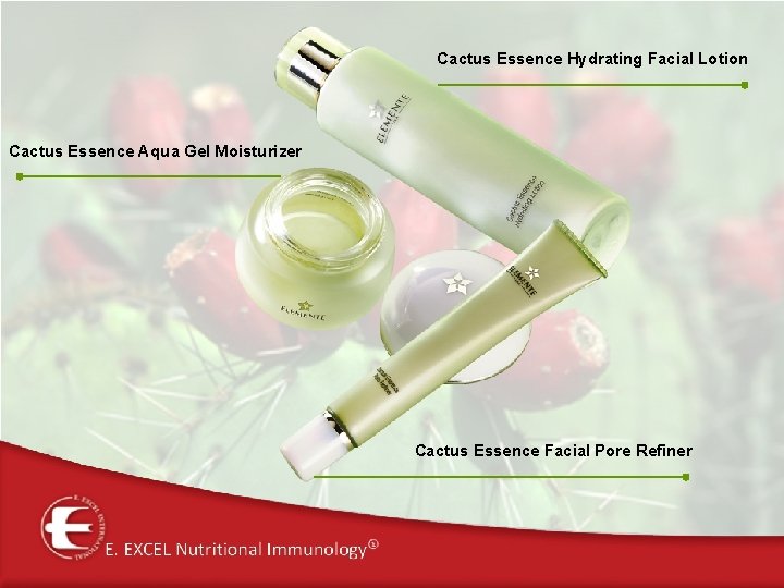Cactus Essence Hydrating Facial Lotion Cactus Essence Aqua Gel Moisturizer Cactus Essence Facial Pore