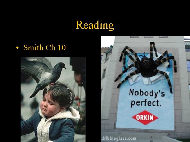 Reading • Smith Ch 10 