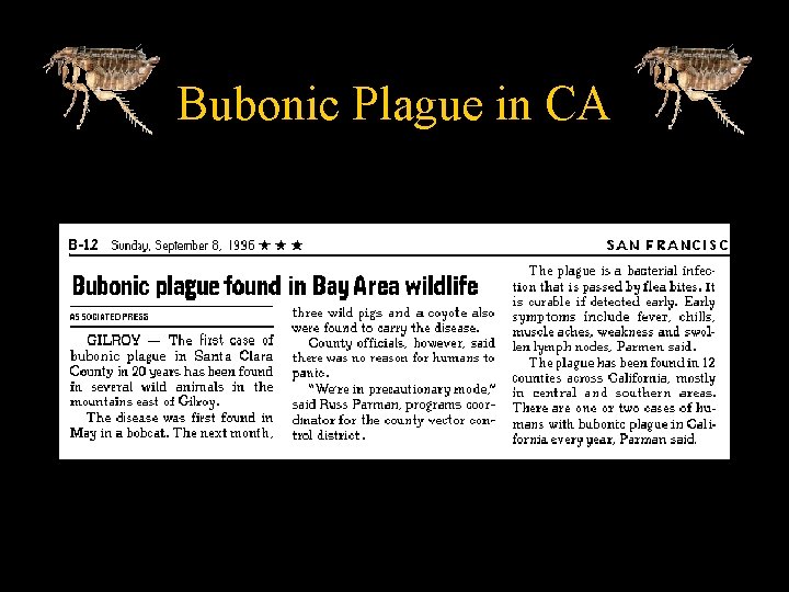 Bubonic Plague in CA 