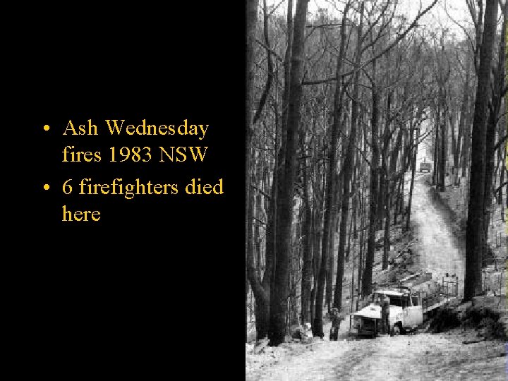  • Ash Wednesday fires 1983 NSW • 6 firefighters died here 