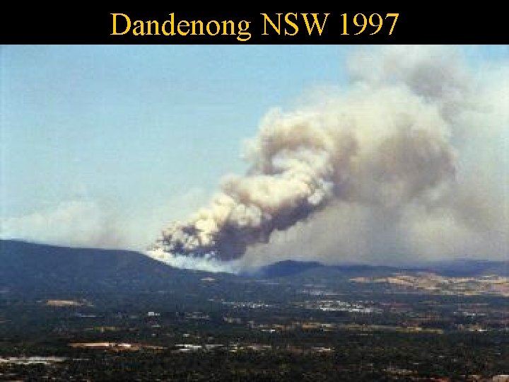 Dandenong NSW 1997 