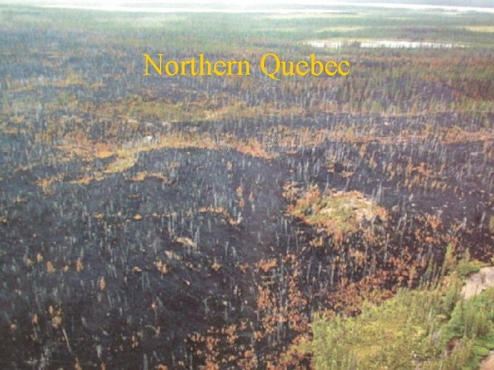 Northern Quebec 