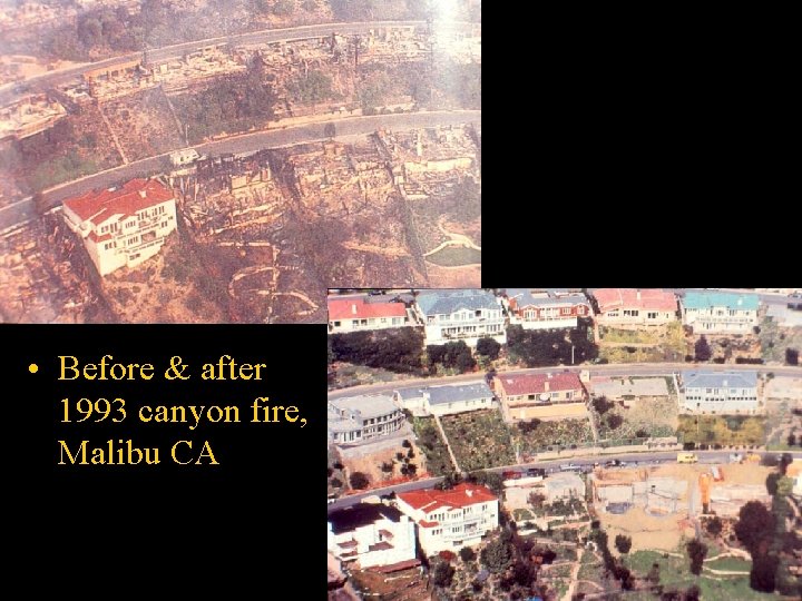  • Before & after 1993 canyon fire, Malibu CA 