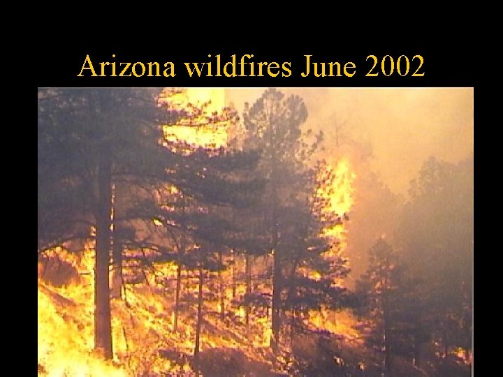 Arizona wildfires June 2002 