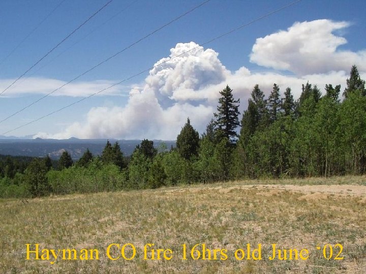 Hayman CO fire 16 hrs old June ‘ 02 