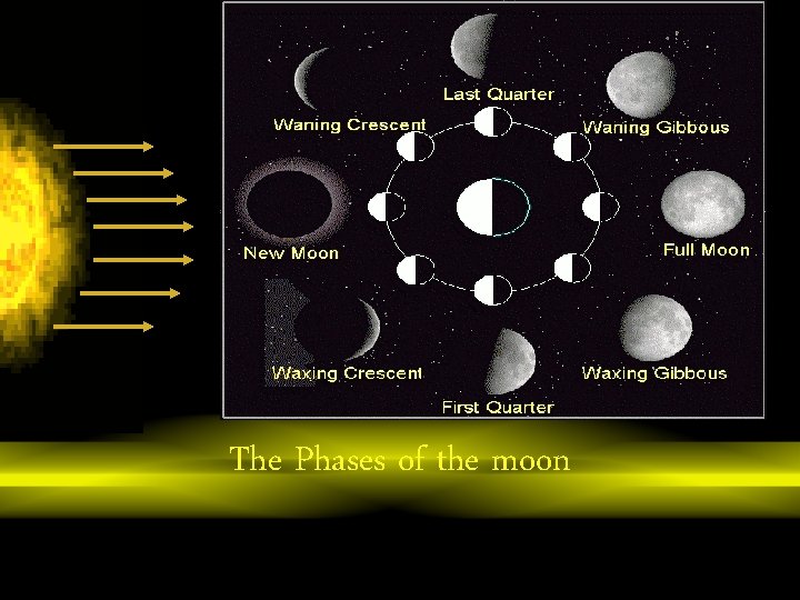 The Phases of the moon 
