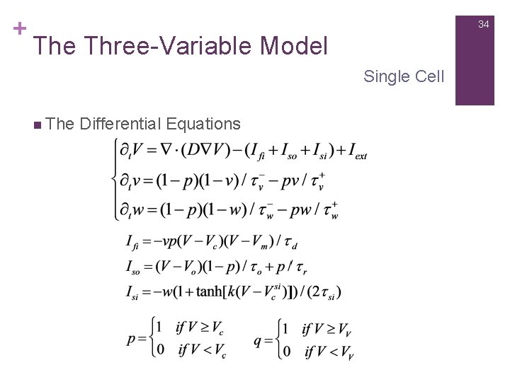 + 34 The Three-Variable Model Single Cell n The Differential Equations 
