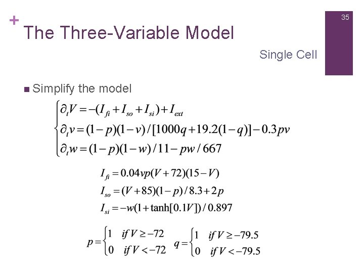 + 35 The Three-Variable Model Single Cell n Simplify the model 