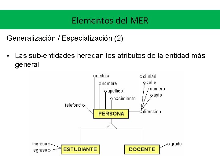 Elementos del MER Generalización / Especialización (2) • Las sub-entidades heredan los atributos de Elementos del MER Generalización / Especialización (2) • Las sub-entidades heredan los atributos de