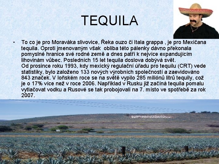 TEQUILA • To co je pro Moraváka slivovice, Řeka ouzo či Itala grappa ,