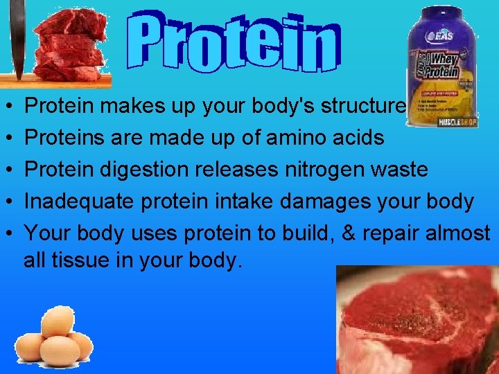  • • • Protein makes up your body's structure Proteins are made up