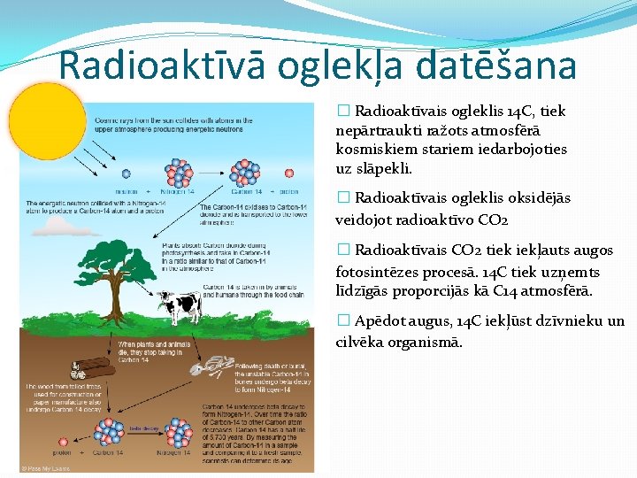 Radioaktīvā oglekļa datēšana � Radioaktīvais ogleklis 14 C, tiek nepārtraukti ražots atmosfērā kosmiskiem stariem