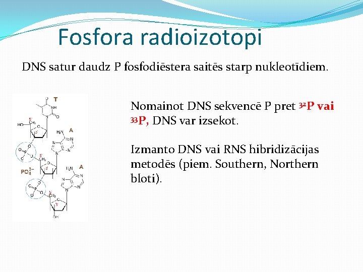 Fosfora radioizotopi DNS satur daudz P fosfodiēstera saitēs starp nukleotīdiem. Nomainot DNS sekvencē P