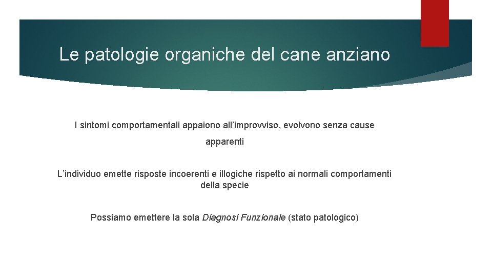 Le patologie organiche del cane anziano I sintomi comportamentali appaiono all’improvviso, evolvono senza cause