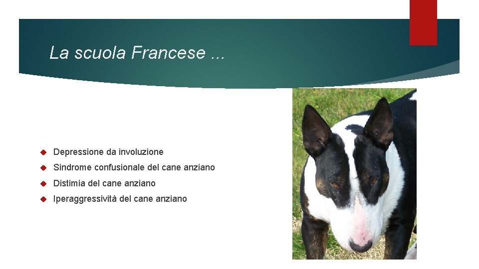 La scuola Francese. . . Depressione da involuzione Sindrome confusionale del cane anziano Distimia