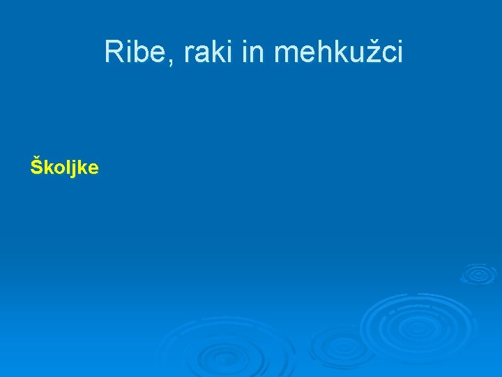 Ribe, raki in mehkužci Školjke 