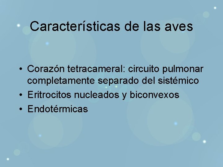 Características de las aves • Corazón tetracameral: circuito pulmonar completamente separado del sistémico •