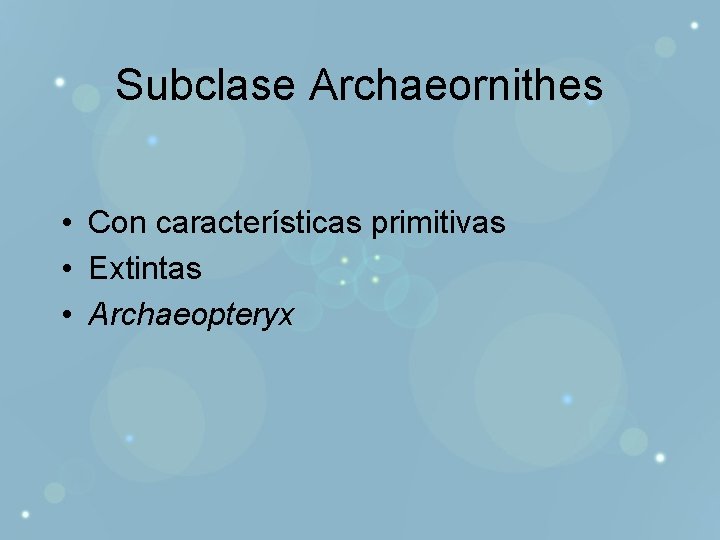 Subclase Archaeornithes • Con características primitivas • Extintas • Archaeopteryx 