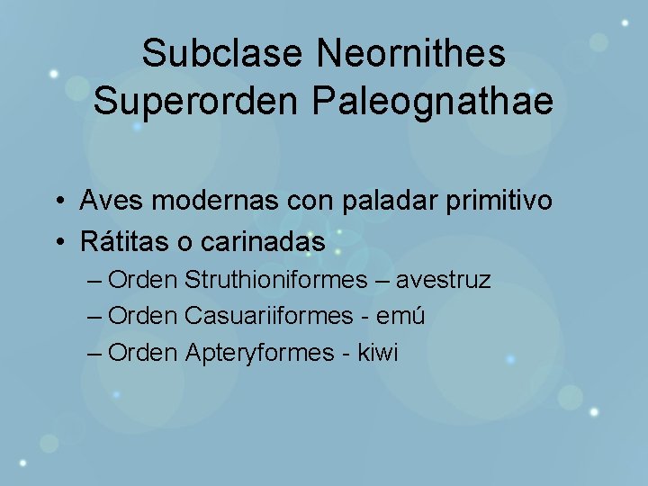 Subclase Neornithes Superorden Paleognathae • Aves modernas con paladar primitivo • Rátitas o carinadas