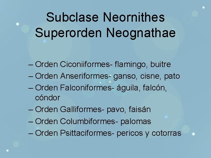 Subclase Neornithes Superorden Neognathae – Orden Ciconiiformes- flamingo, buitre – Orden Anseriformes- ganso, cisne,