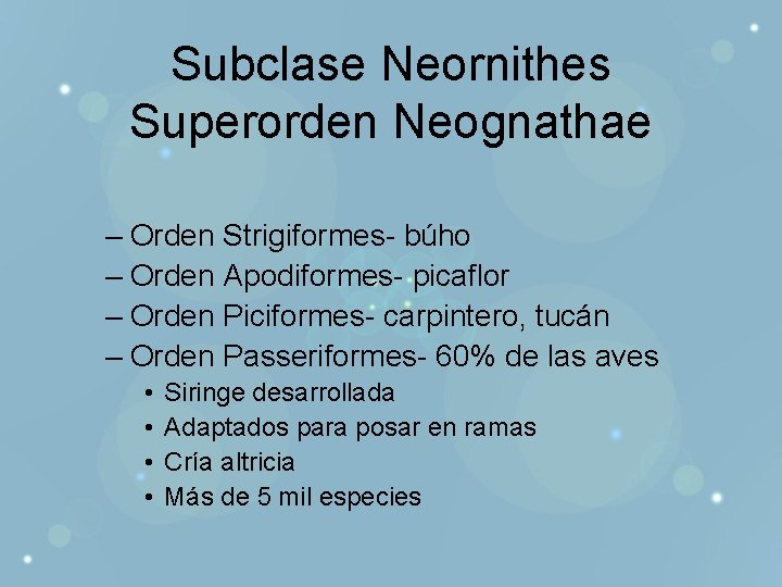 Subclase Neornithes Superorden Neognathae – Orden Strigiformes- búho – Orden Apodiformes- picaflor – Orden