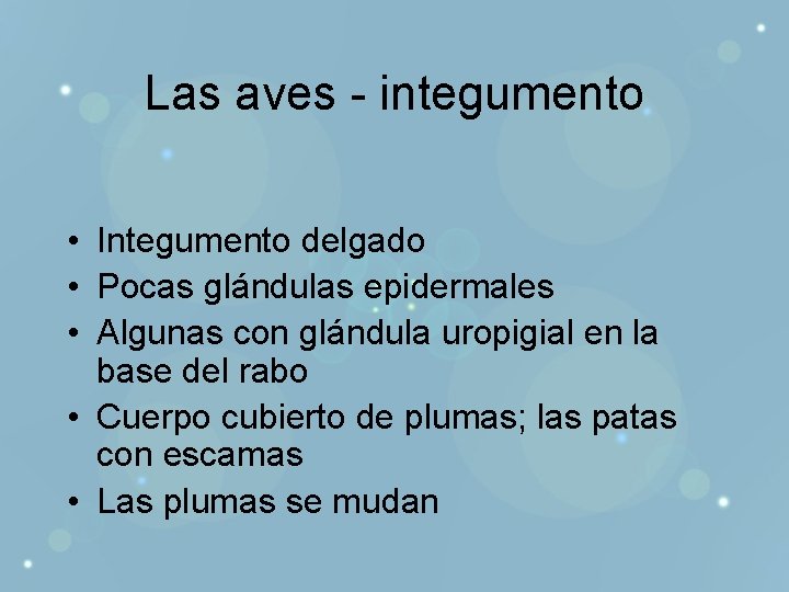 Las aves - integumento • Integumento delgado • Pocas glándulas epidermales • Algunas con