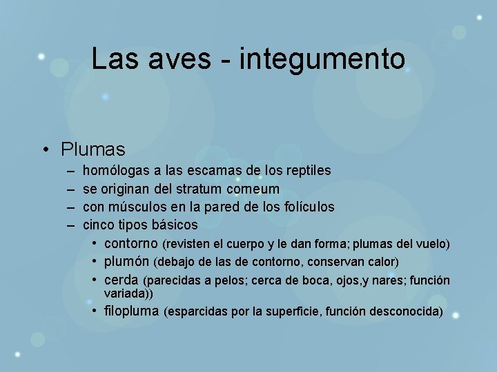 Las aves - integumento • Plumas – – homólogas a las escamas de los
