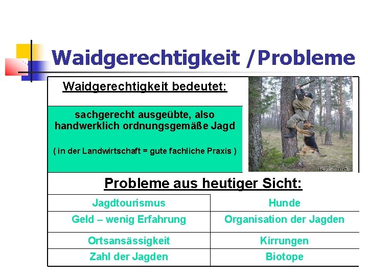 Waidgerechtigkeit /Probleme Waidgerechtigkeit bedeutet: sachgerecht ausgeübte, also handwerklich ordnungsgemäße Jagd ( in der Landwirtschaft