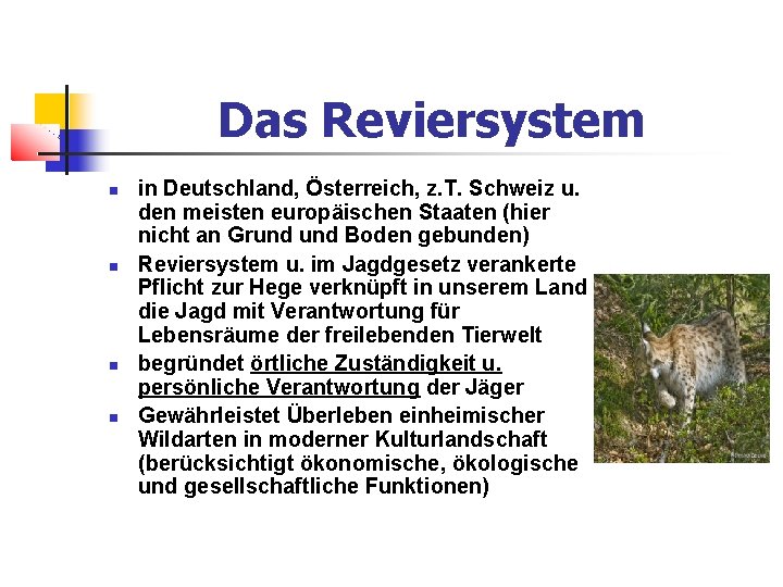 Das Reviersystem in Deutschland, Österreich, z. T. Schweiz u. den meisten europäischen Staaten (hier