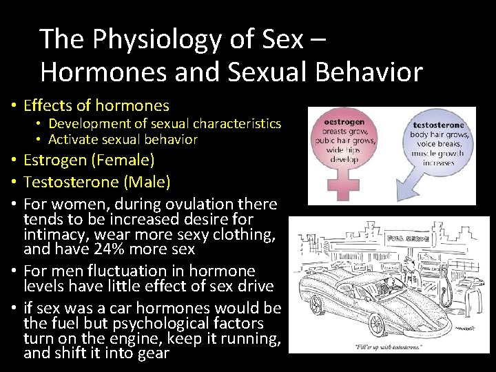 The Physiology of Sex – Hormones and Sexual Behavior • Effects of hormones •