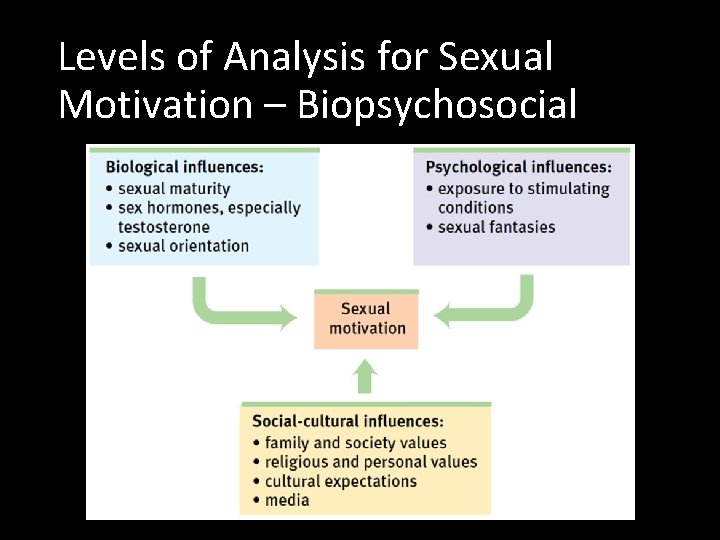 Levels of Analysis for Sexual Motivation – Biopsychosocial 