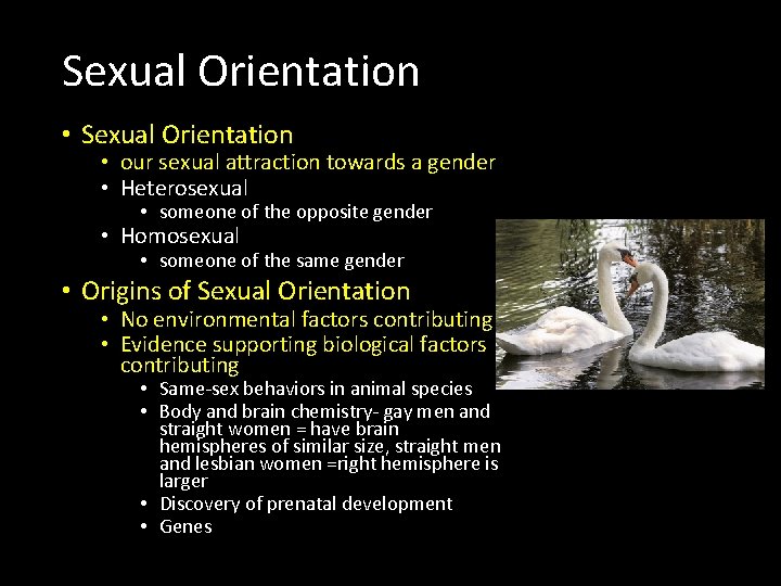 Sexual Orientation • Sexual Orientation • our sexual attraction towards a gender • Heterosexual