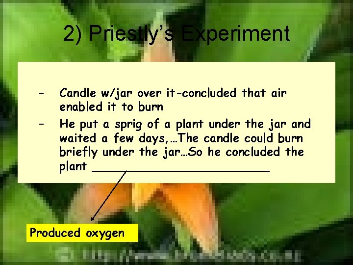 2) Priestly’s Experiment – – Candle w/jar over it-concluded that air enabled it to