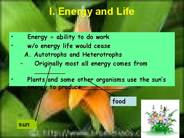 I. Energy and Life • • • Energy = ability to do work w/o