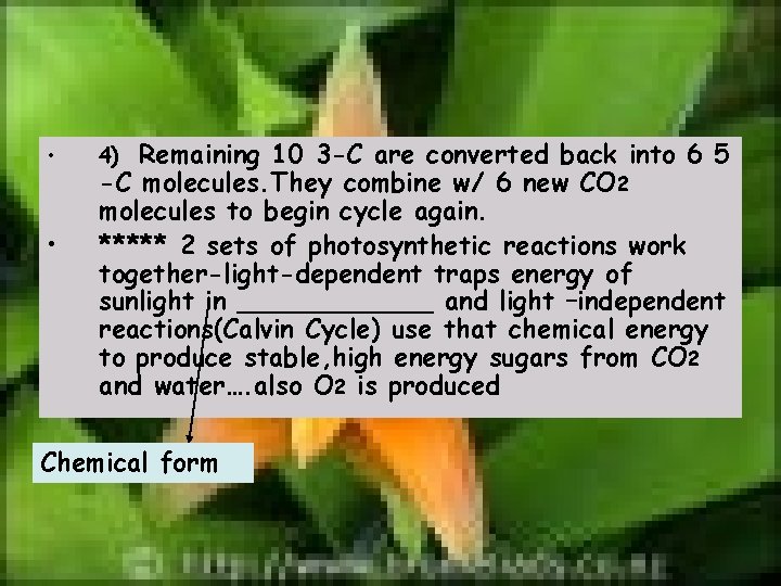  • • Remaining 10 3 -C are converted back into 6 5 -C