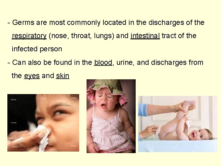 - Germs are most commonly located in the discharges of the respiratory (nose, throat,