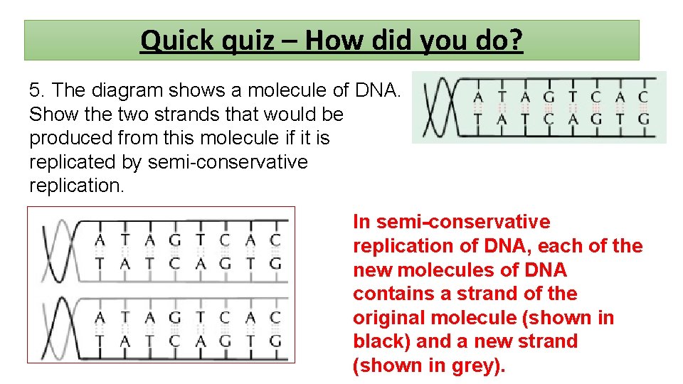 Quick quiz – How did you do? 5. The diagram shows a molecule of