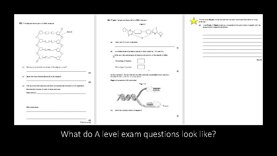 What do A level exam questions look like? 