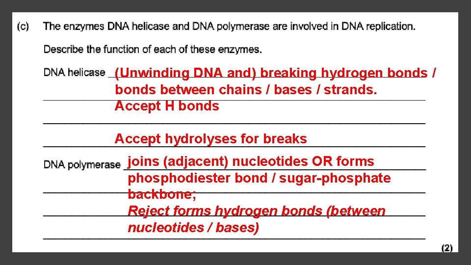 (Unwinding DNA and) breaking hydrogen bonds / bonds between chains / bases / strands.