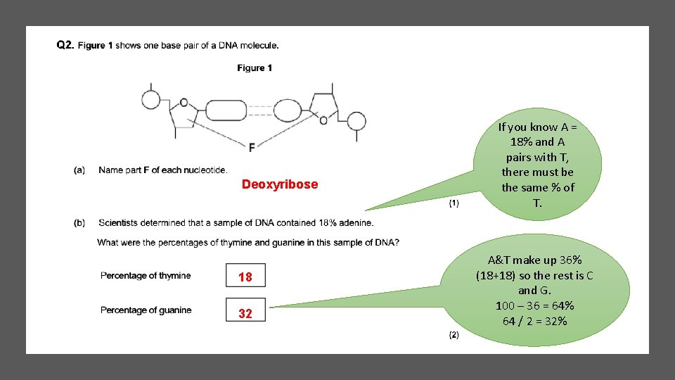 Deoxyribose 18 32 If you know A = 18% and A pairs with T,