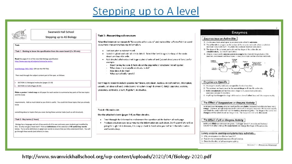 Stepping up to A level http: //www. swanwickhallschool. org/wp-content/uploads/2020/04/Biology-2020. pdf 