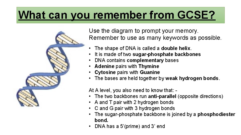 What can you remember from GCSE? Use the diagram to prompt your memory. Remember